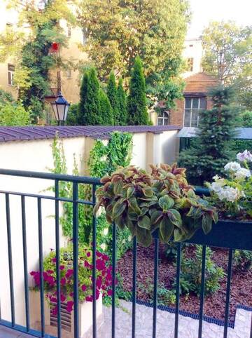Фото номера Апартаменты Апартаменты Apartament Amaryllis г. Краков 24