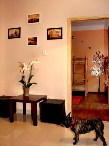 Фото номера Кровать в общем 8-местном номере Хостелы Chilli Hostel г. Краков 35