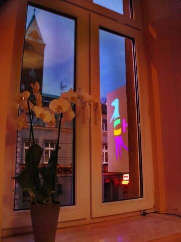 Фото номера Кровать в общем 8-местном номере Хостелы Chilli Hostel г. Краков 31