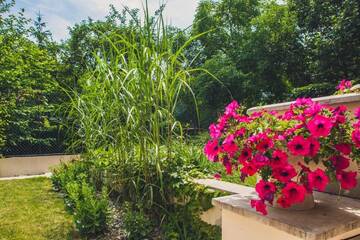 Фото номера Апартаменты с 2 спальнями (8 взрослых) Апарт-отели 4Seasons﻿ Apartments Cracow г. Краков 18