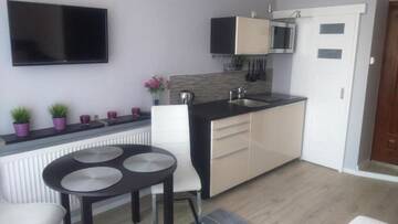 Фото номера Стандартный двухместный номер с 1 кроватью Апарт-отели 4Seasons﻿ Apartments Cracow г. Краков 14