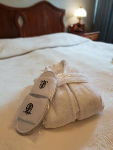 Фото номера Люкс Отель Hotel Francuski г. Краков 5