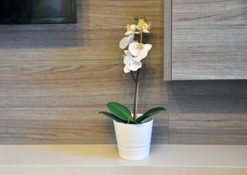 Фото номера Апартаменты с террасой (39) Проживание в семье Najlepsze Miejsce - pokoje i apartamenty w Krakowie г. Краков 11