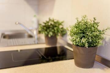 Фото номера Улучшенные апартаменты с видом на улицу Сиенна Апартаменты Place 4 You Apartments г. Краков 17