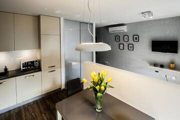 Фото номера Двухместный номер Делюкс с 1 кроватью и балконом Апартаменты Apartament Nad Wisłą г. Краков 11