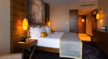 Фото номера Номер с кроватью размера «king-size» Отель DoubleTree by Hilton Krakow Hotel &amp; Convention Center г. Краков 2