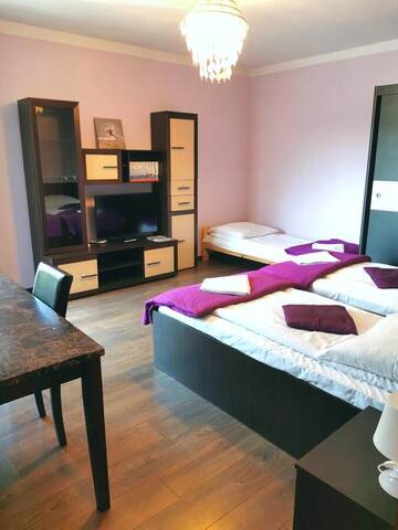 Фото номера Просторные апартаменты с 2 спальнями Апартаменты Apartamenty Dolna Kraków г. Краков 8