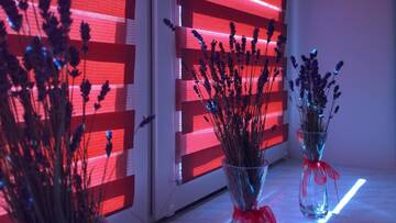 Фото номера Апартаменты - 1-й этаж Апартаменты Apartament w Krakowie г. Краков 21