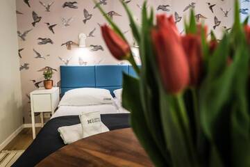 Фото номера Апартаменты-студио Апартаменты Avium Old Town Apartments г. Краков 30