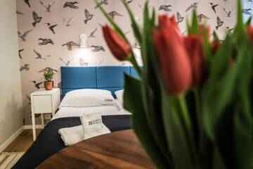 Фото номера Апартаменты-студио Апартаменты Avium Old Town Apartments г. Краков 14