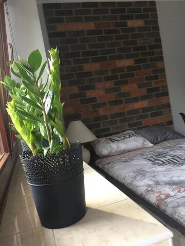Фото номера Номер-студио Апартаменты Apartament Francuzka г. Краков 2