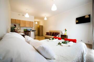Фото номера Апартаменты с балконом Апартаменты Apartament Polonijna г. Краков 8