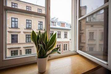 Фото номера Апартаменты с 1 спальней Апартаменты Mikołajska 3 Apartments г. Краков 32