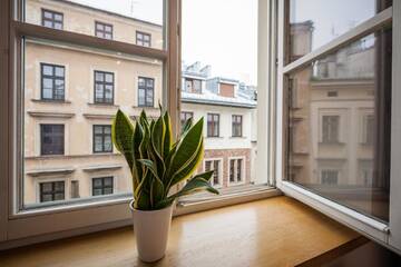 Фото номера Апартаменты с 1 спальней Апартаменты Mikołajska 3 Apartments г. Краков 5