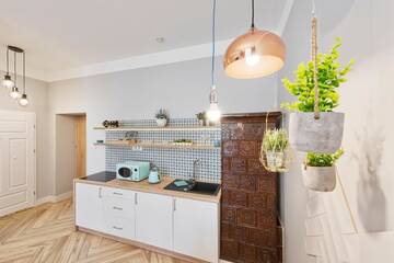 Фото номера Апартаменты Делюкс - Studencka 29 Апартаменты Centre Apartments-Old Town г. Краков 4