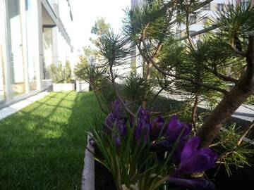 Фото номера Апартаменты с террасой Апартаменты Garden Apartment Cracow- Shopping Mall 1min, Underground Parking, Family Friendly, City Center г. Краков 48