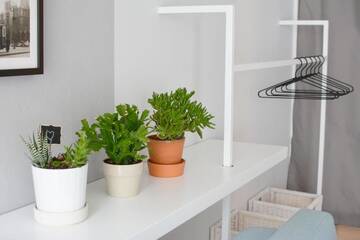 Фото номера Апартаменты с балконом Апартаменты Blue Birds Apartment г. Краков 44