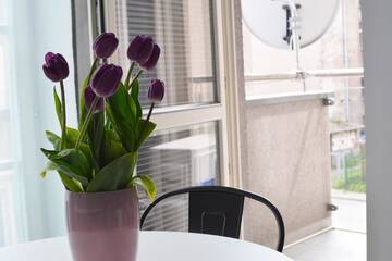 Фото номера Апартаменты с балконом Апартаменты Blue Birds Apartment г. Краков 41