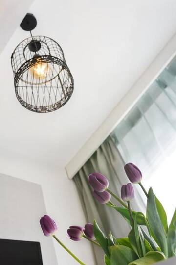 Фото номера Апартаменты с балконом Апартаменты Blue Birds Apartment г. Краков 46