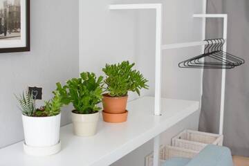 Фото номера Апартаменты с балконом Апартаменты Blue Birds Apartment г. Краков 19