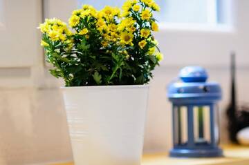 Фото номера Апартаменты Делюкс Апартаменты Cracow Jacuzzi Apartments - White Room г. Краков 33