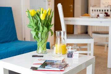 Фото номера Апартаменты с 1 спальней Апартаменты Kraków Apartments - Solna Studio &amp; Apartments г. Краков 3