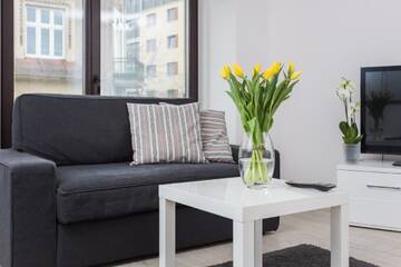 Фото номера Апартаменты-студио Апартаменты apartament studio solna 1 M19 г. Краков 16