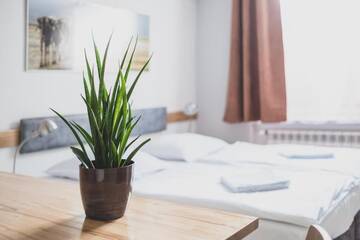 Фото номера Апартаменты-студио Гостевой дом Cybulskiego Guest Rooms г. Краков 12