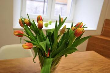 Фото номера Апартаменты с 2 спальнями Апартаменты Old Town, Loft Style Apartment WAWELOFTS г. Краков 56