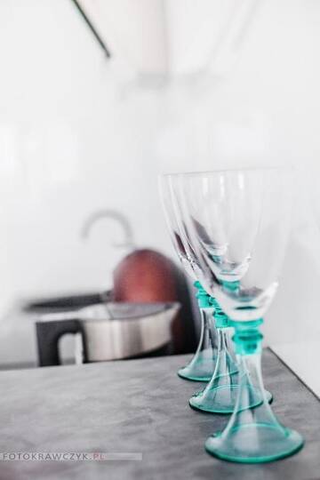 Фото номера Апартаменты Делюкс Апартаменты Apartament Nadwiślańska г. Краков 86