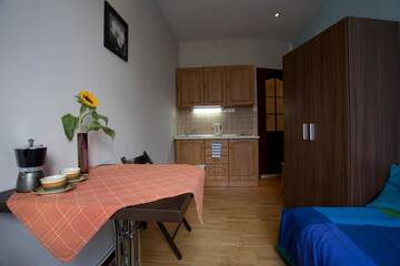 Фото номера Одноместные апартаменты-студио Апартаменты Krakow Townhouse г. Краков 3