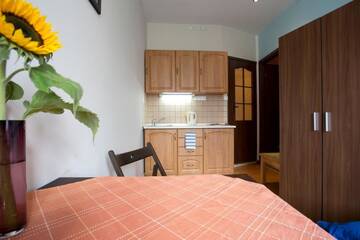 Фото номера Одноместные апартаменты-студио Апартаменты Krakow Townhouse г. Краков 10