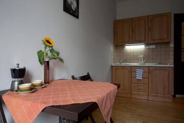 Фото номера Одноместные апартаменты-студио Апартаменты Krakow Townhouse г. Краков 6