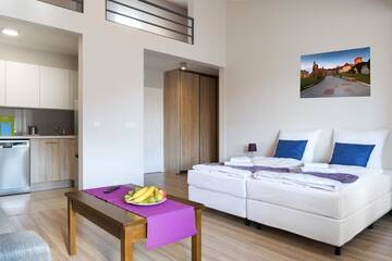 Фото номера Суперлюкс Апарт-отели Emaus Apartments г. Краков 12