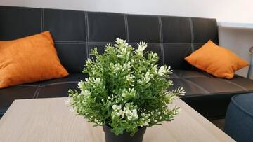 Фото номера Двухместный номер с 1 кроватью Проживание в семье Lukas Guest Rooms г. Краков 6