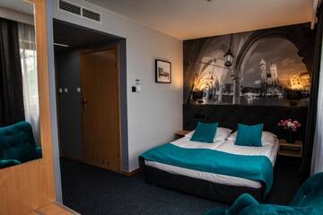 Фото номера Двухместный номер с 1 кроватью и боковым видом на реку Отель Hotel Pod Wawelem г. Краков 4